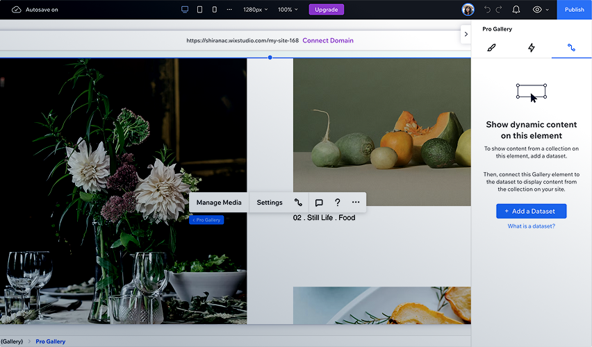 Wix CMS project preview